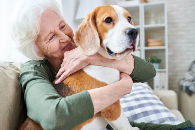 veterinarian-approved-tips-for-monitoring-your-senior-pets-health-at-home