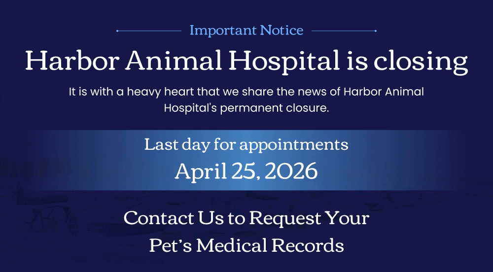 Harbor Animal Hospital's Permanent Closure